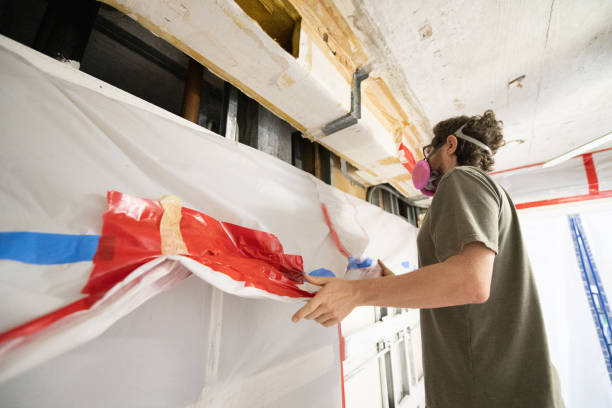 Best Mold Damage Restoration  in Clovis, NM
