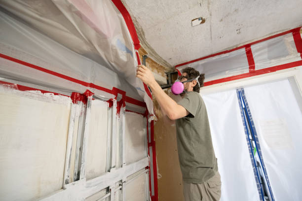 Best Industrial Mold Remediation  in Clovis, NM