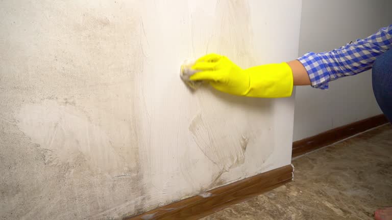 Best Emergency Mold Remediation  in Clovis, NM