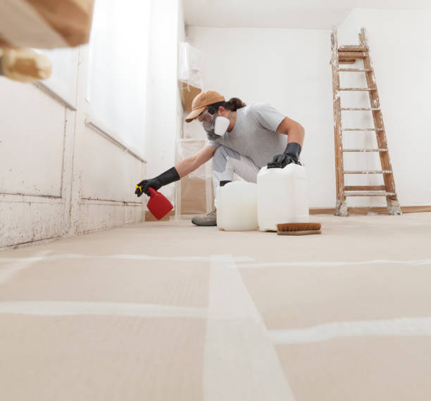 Forensic Mold Investigation in Clovis, NM
